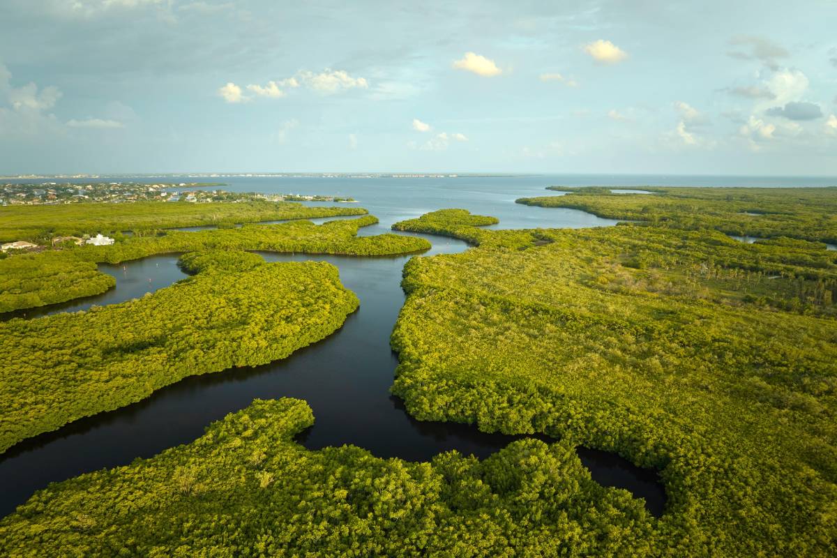 American Wetlands Month - Earth and Atmospheric Sciences