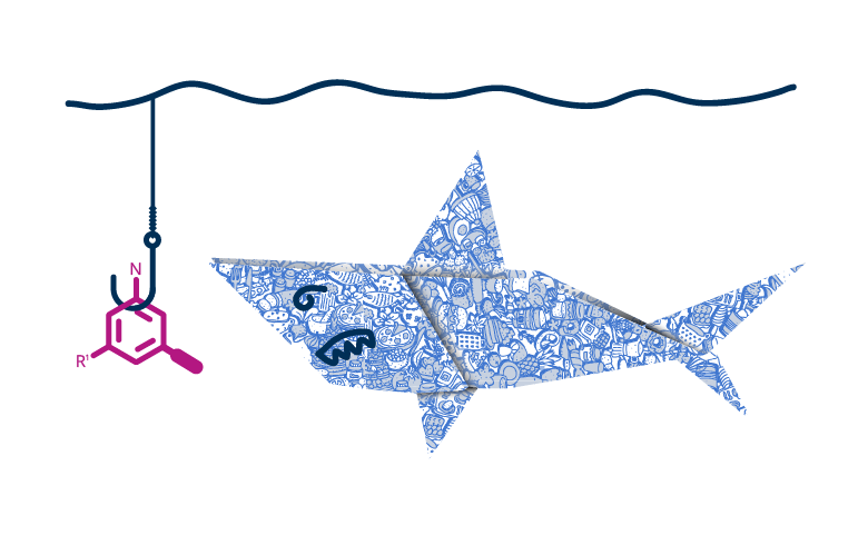 Blog FSTA Shark image