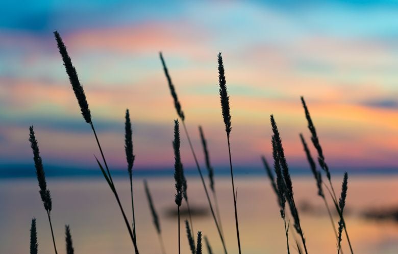 august top blog image
