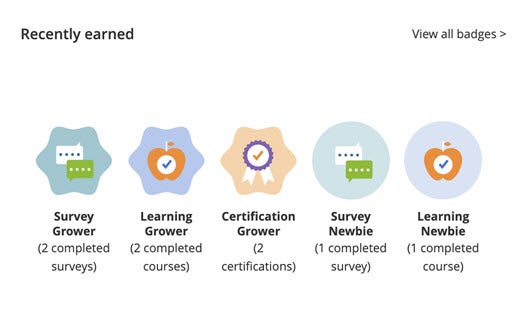 badges image