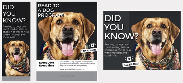 blog consistency image