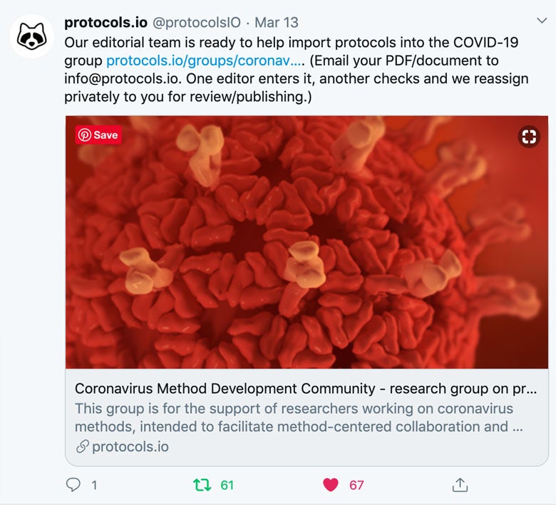 coronavirus mask walking dog secondary blog image