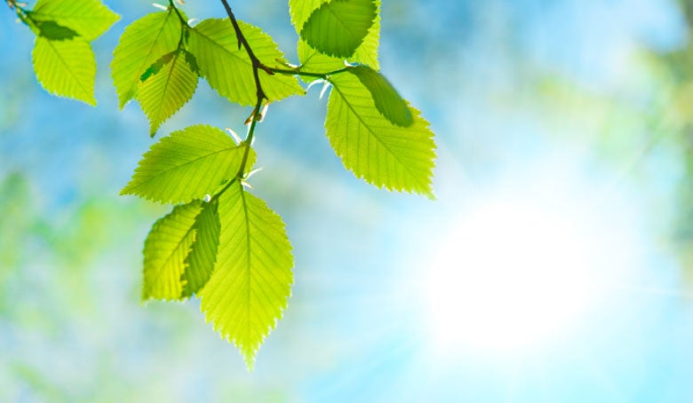 ebsco solar submissions story image