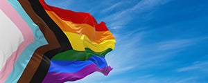 lgbtq plus source web thumbnail image    