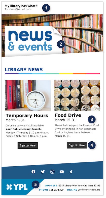 lnbp anatomy good newsletter image