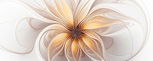 mathscinet web thumbnail image    