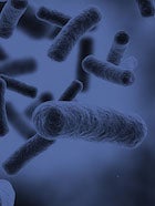 microbiology cover image