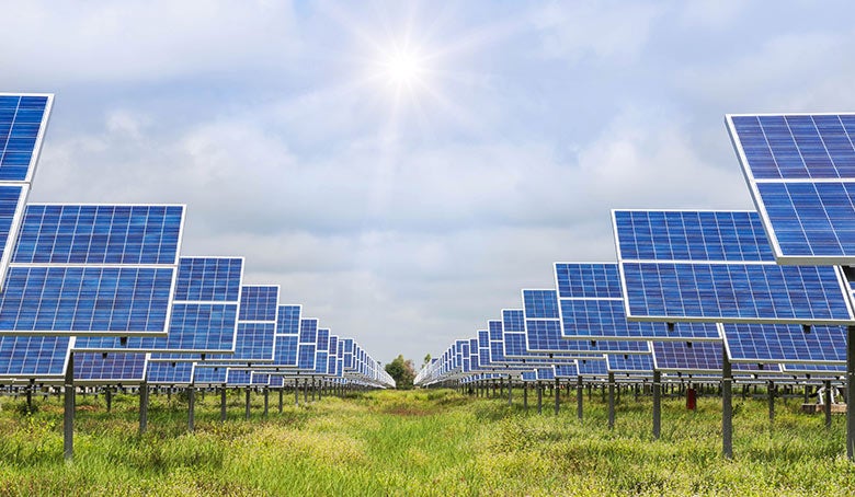 solar panels field story image