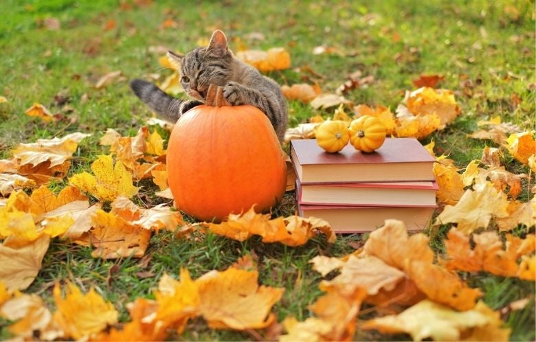 top oct  blog image    
