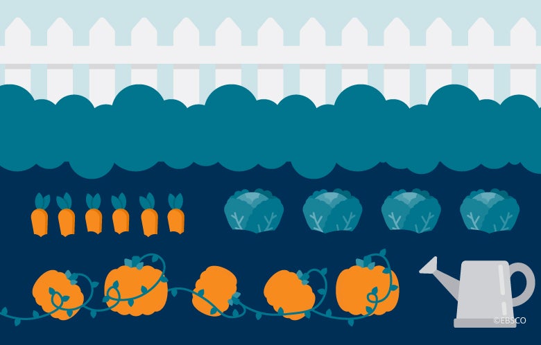Illustration of a garden including carrots, lettuce an pumpkins