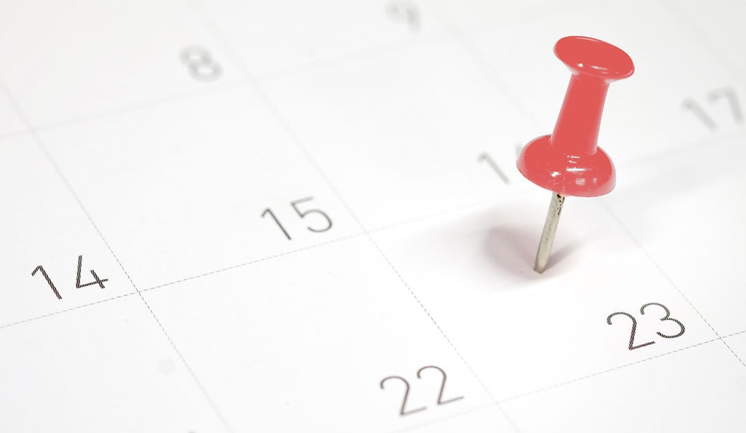 close-up of calendar with red pushpin