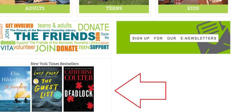 Book carousels on Hamilton Libraries and Bernards Township Library websites