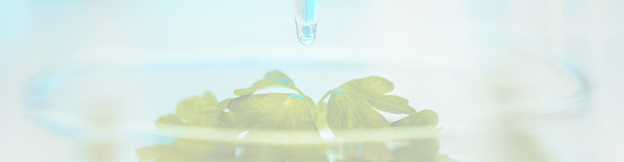 Fsta Food Science And Technology Abstracts Ebsco